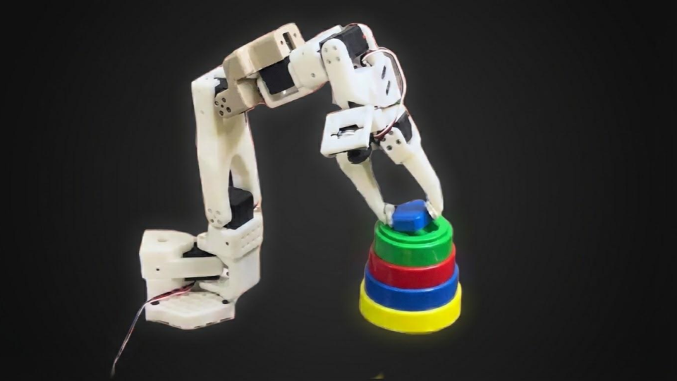 ROVA 6 Robotic Arm Solo